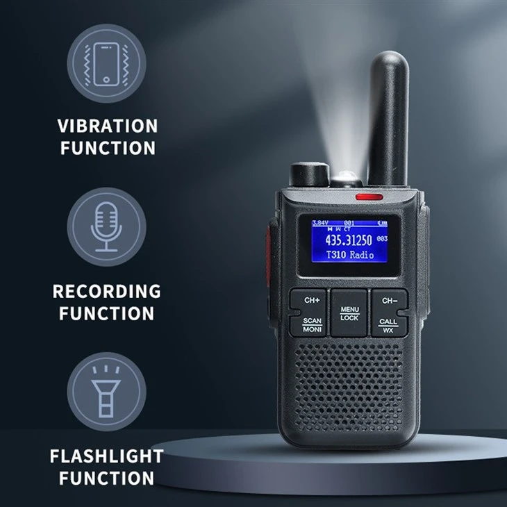 Mini Digital Walkie Talkie
